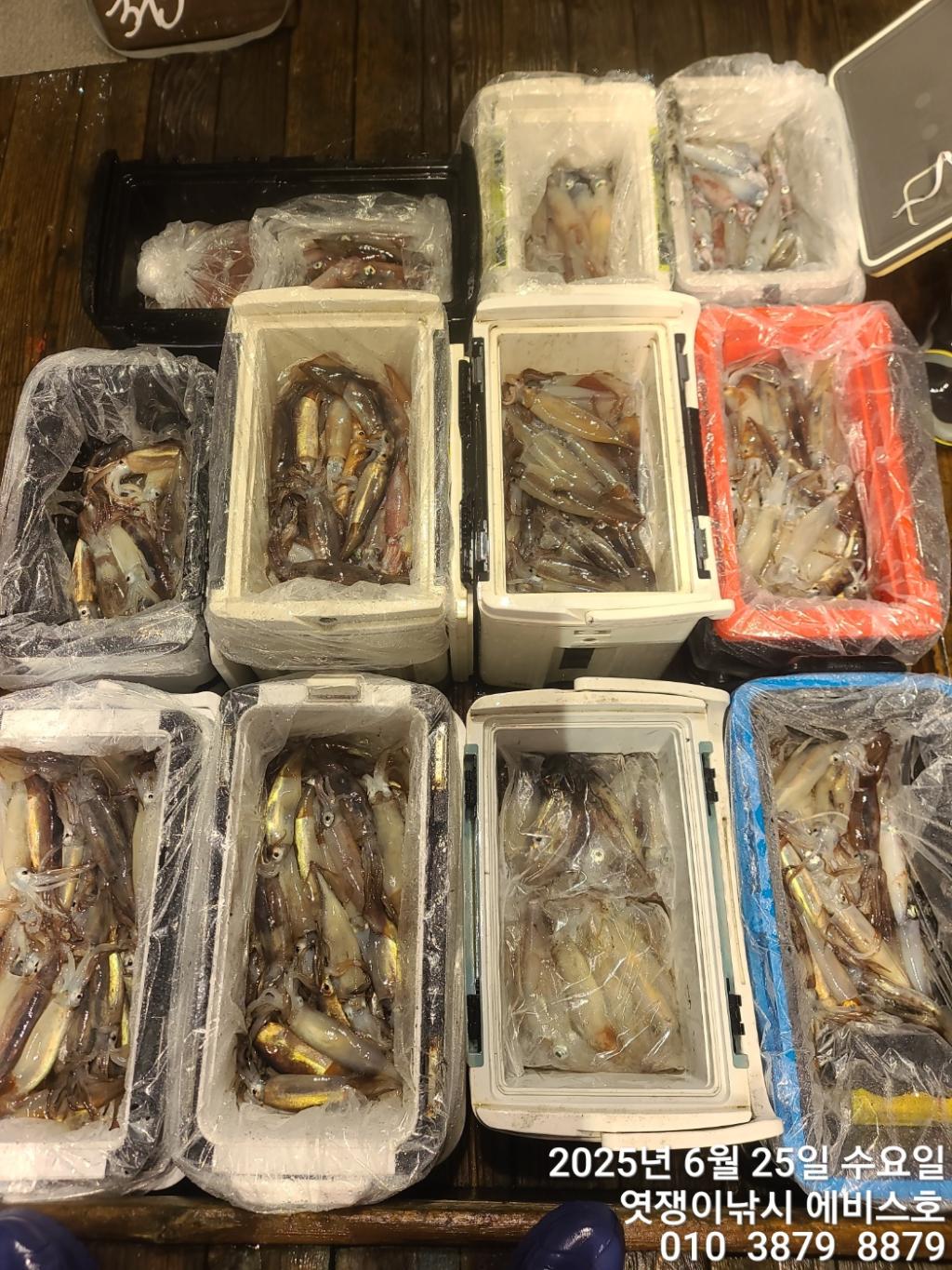 F2708602CW.jpg