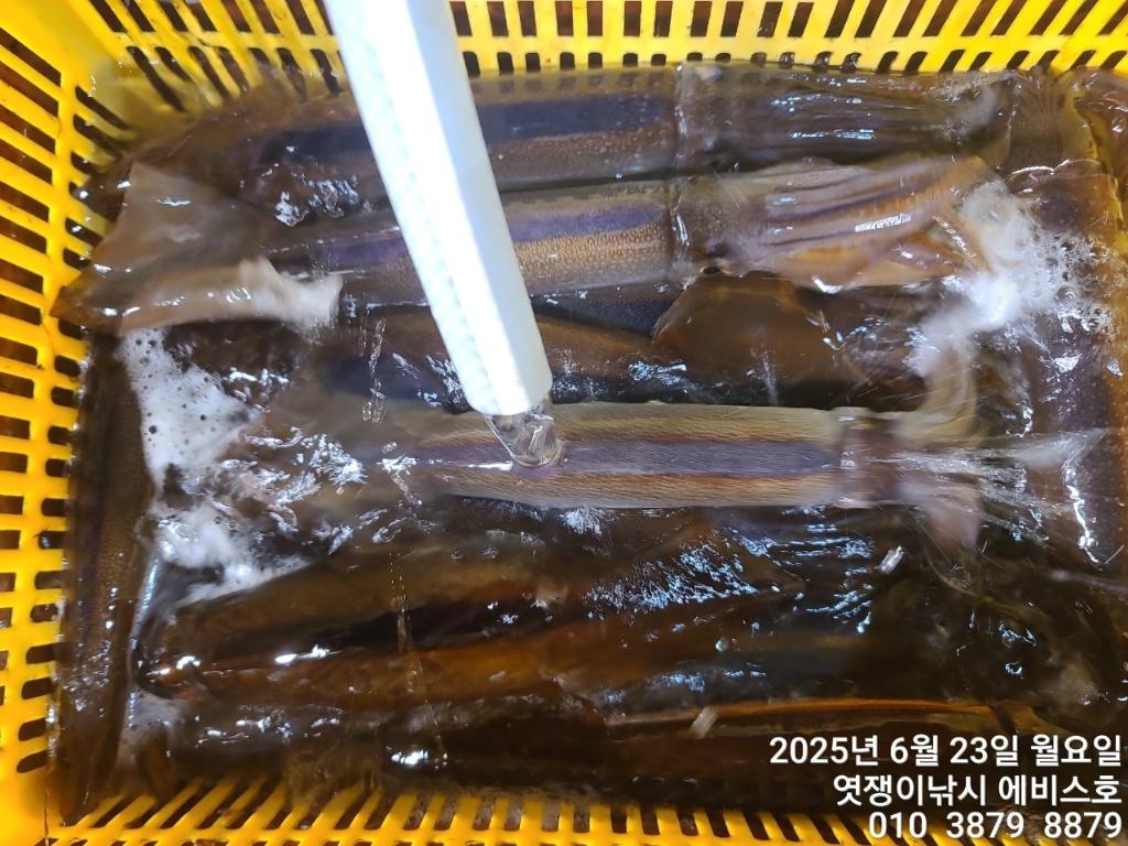 F2708617RX.jpg