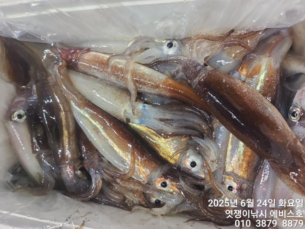 F2708628KF.jpg