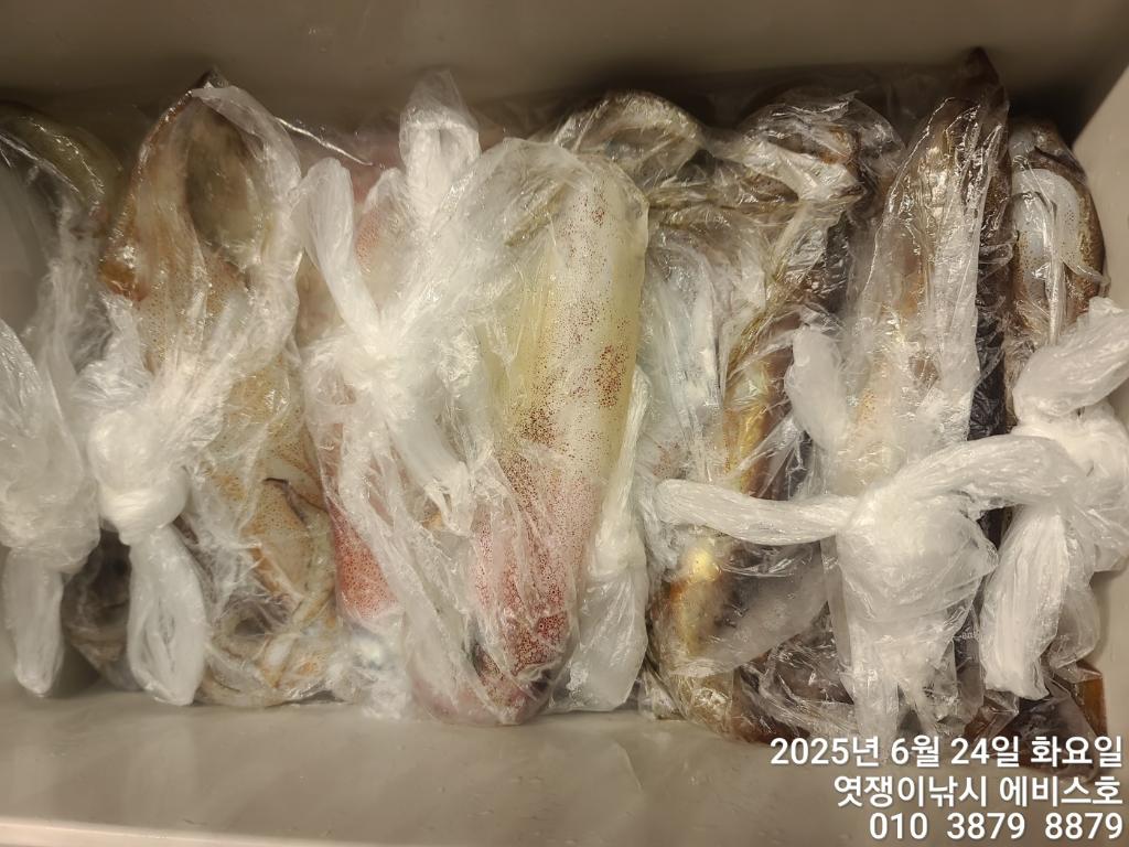 F270863159.jpg