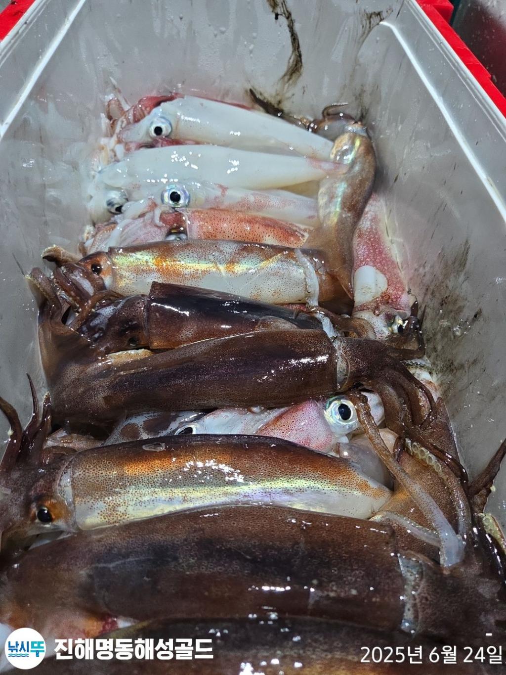 F270873546.jpg