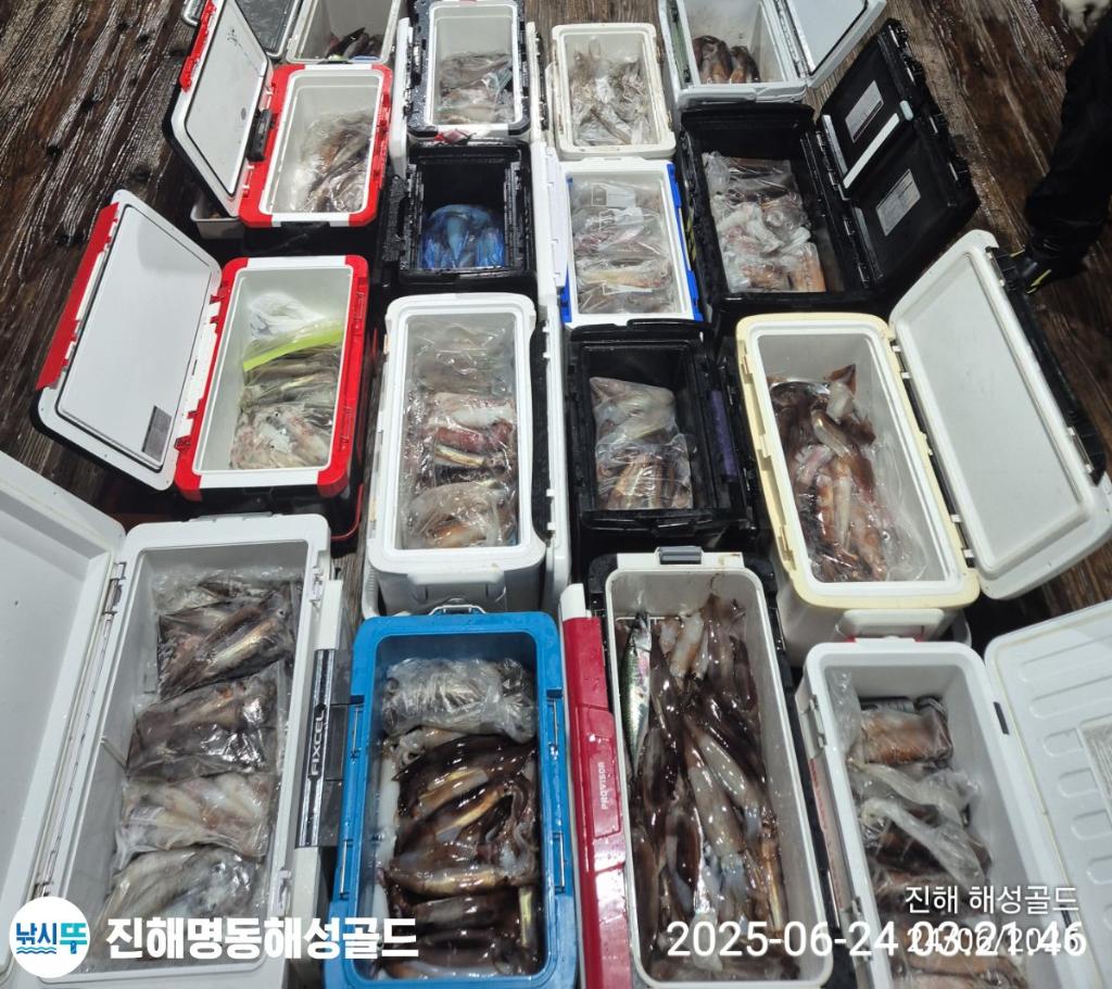 F2708765XI.jpg
