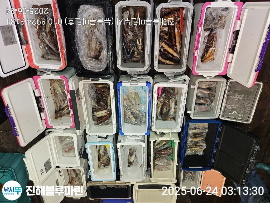 F2708807PN.jpg