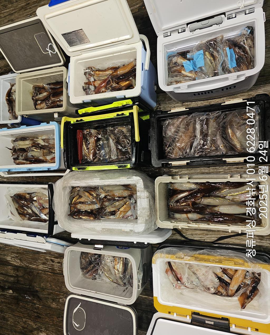 F2708821G8.jpg
