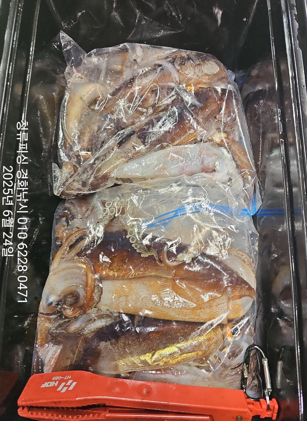 F270883051.jpg