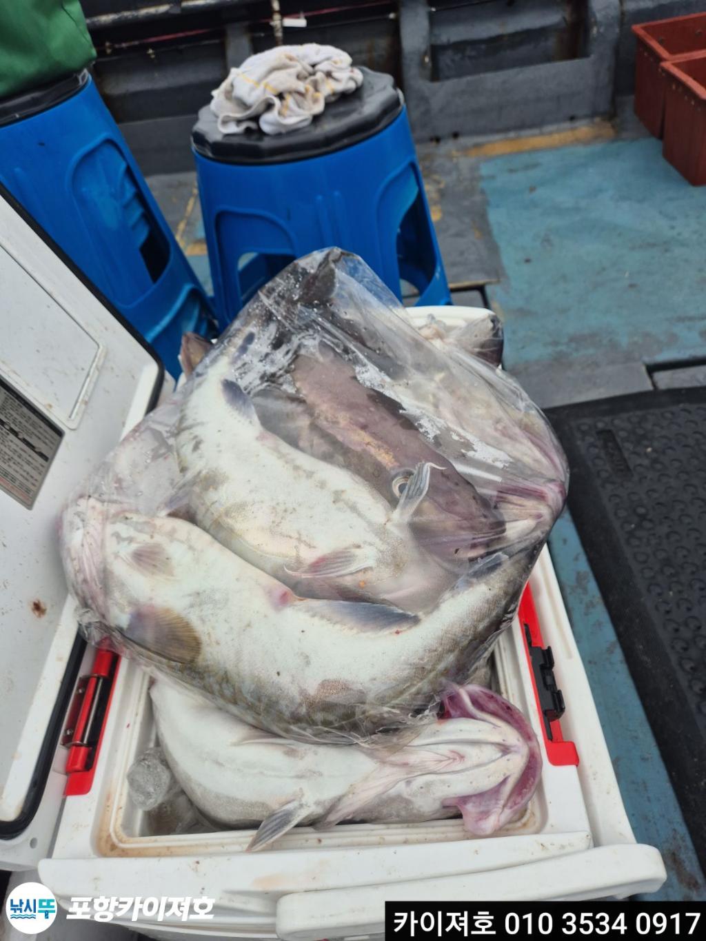 F27089189A.jpg