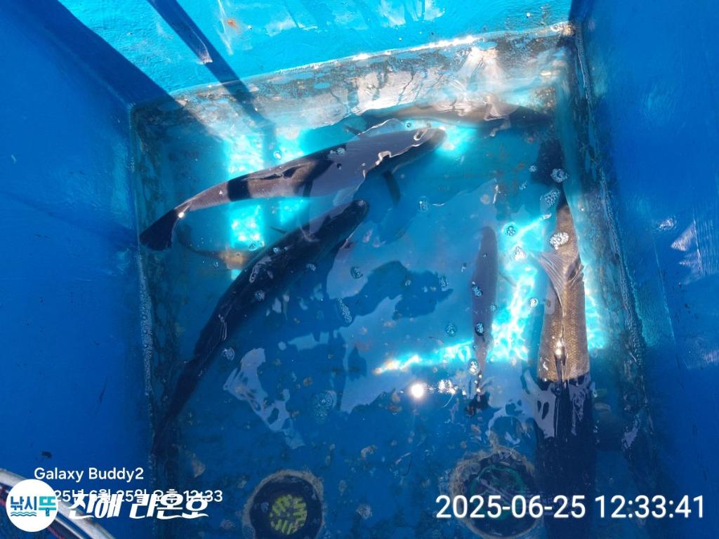 F2709053Z6.jpg