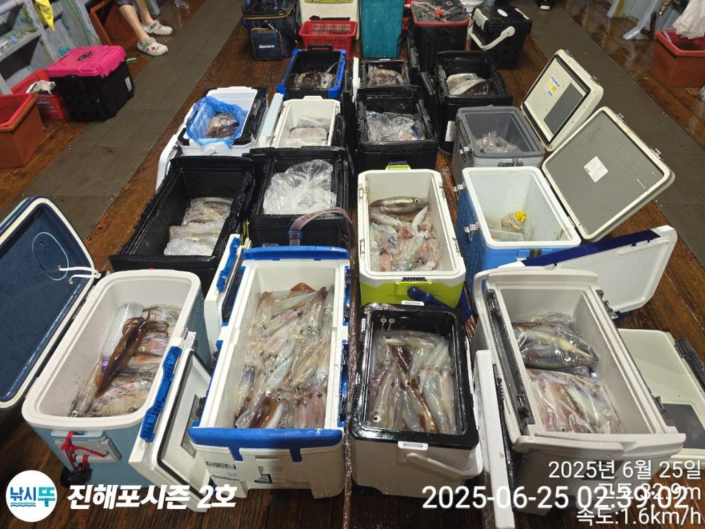 낚시뚜,오징어,한치,진해행암항,진해포시즌 2호,낚시뚜0