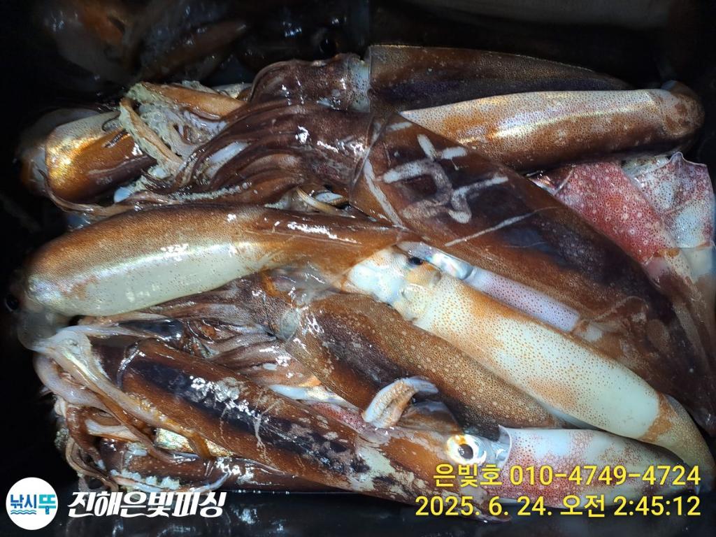 F2709098WY.jpg