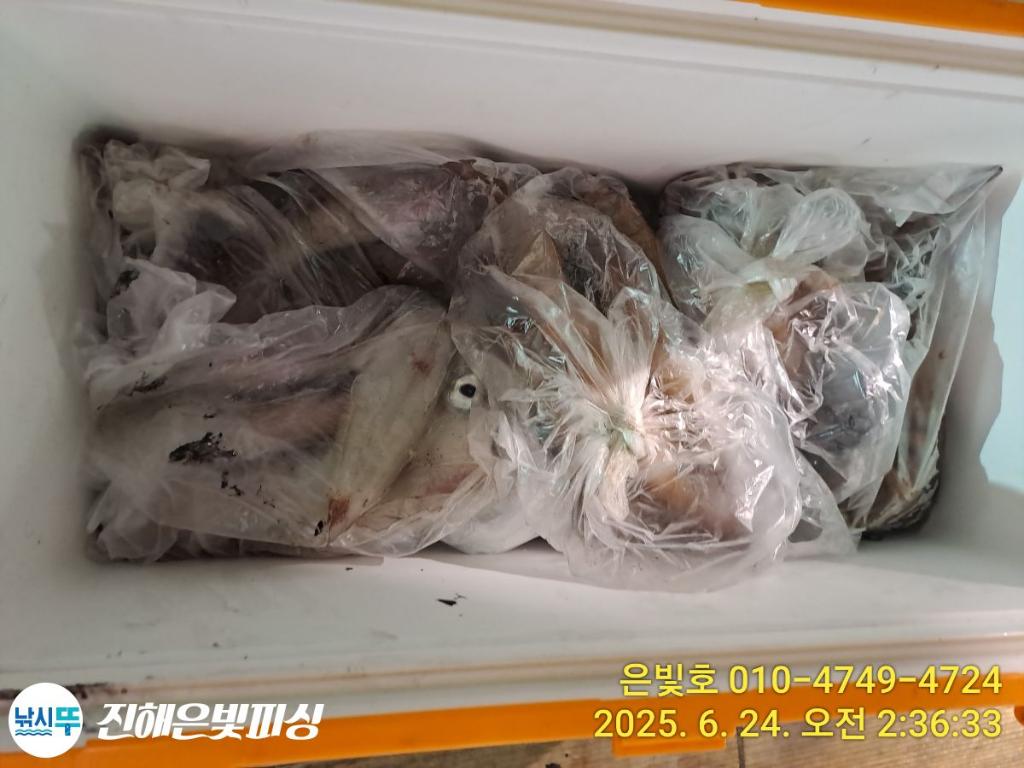 F2709102MI.jpg
