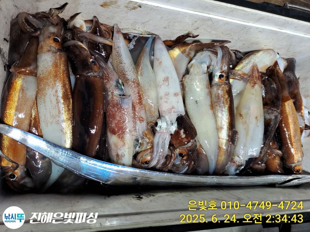 F2709106G1.jpg