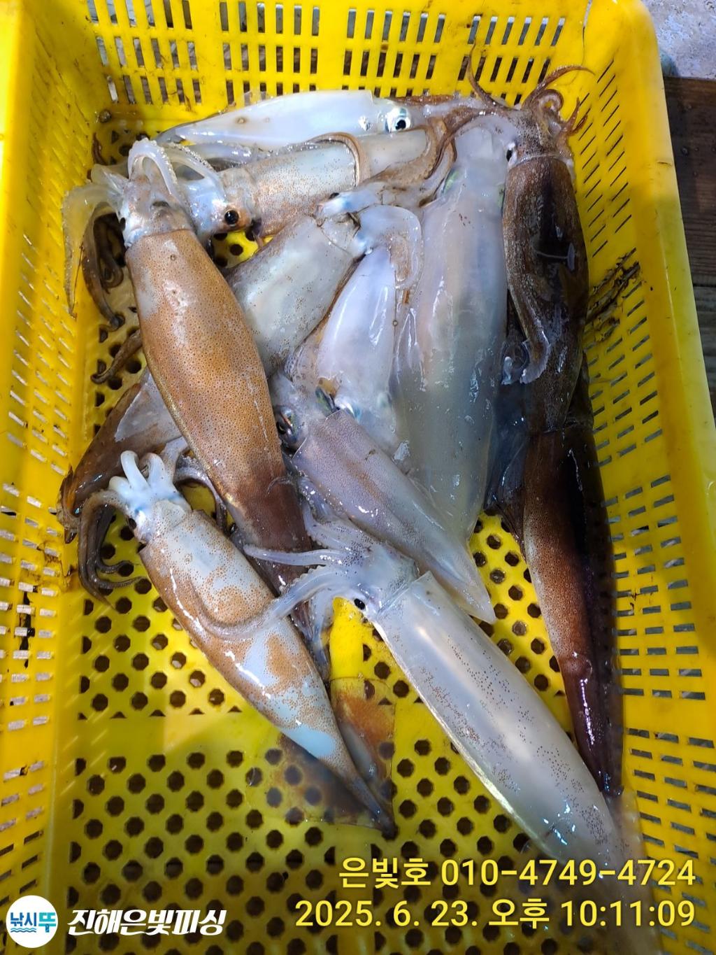 F2709110O2.jpg