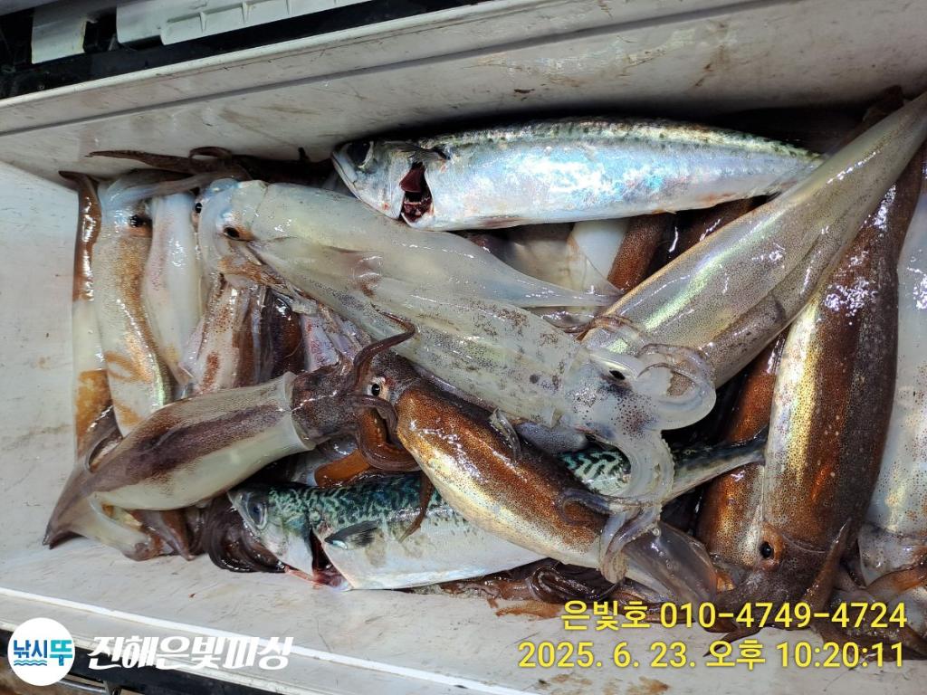 F2709111RS.jpg