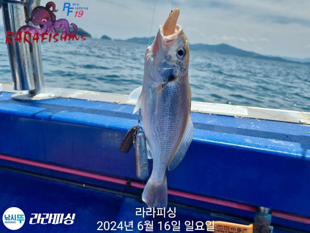 F2709201AM.jpg