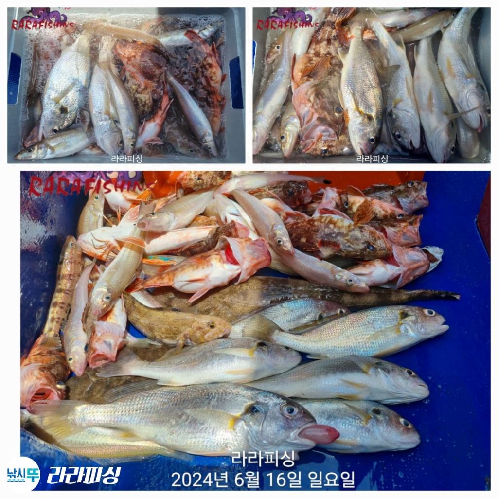 F2709212UR.jpg