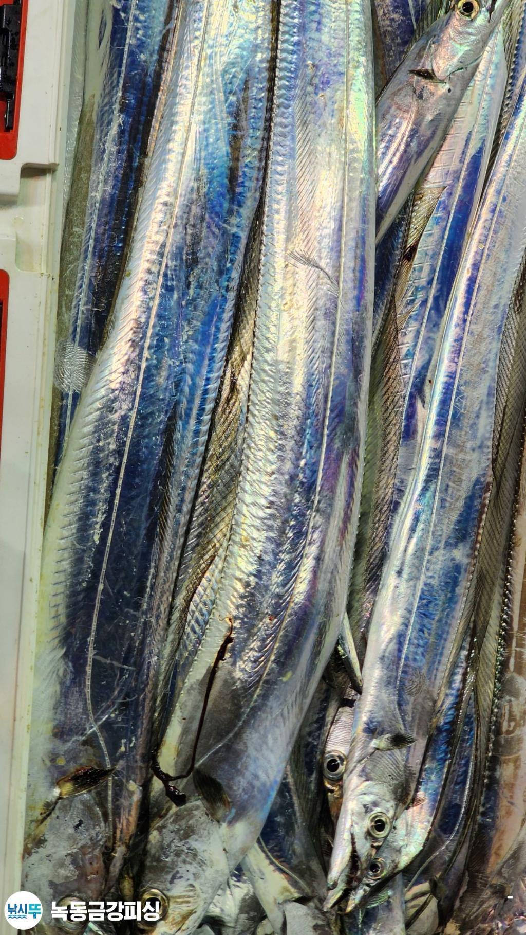 F2709274S7.jpg