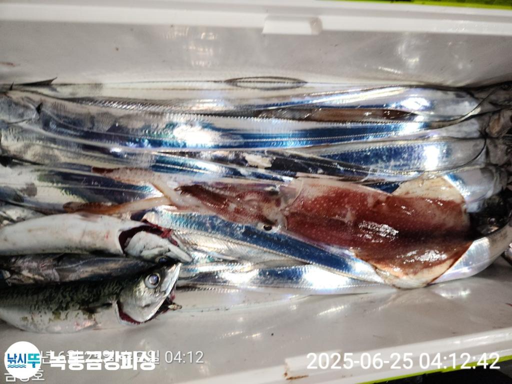 F2709281T9.jpg