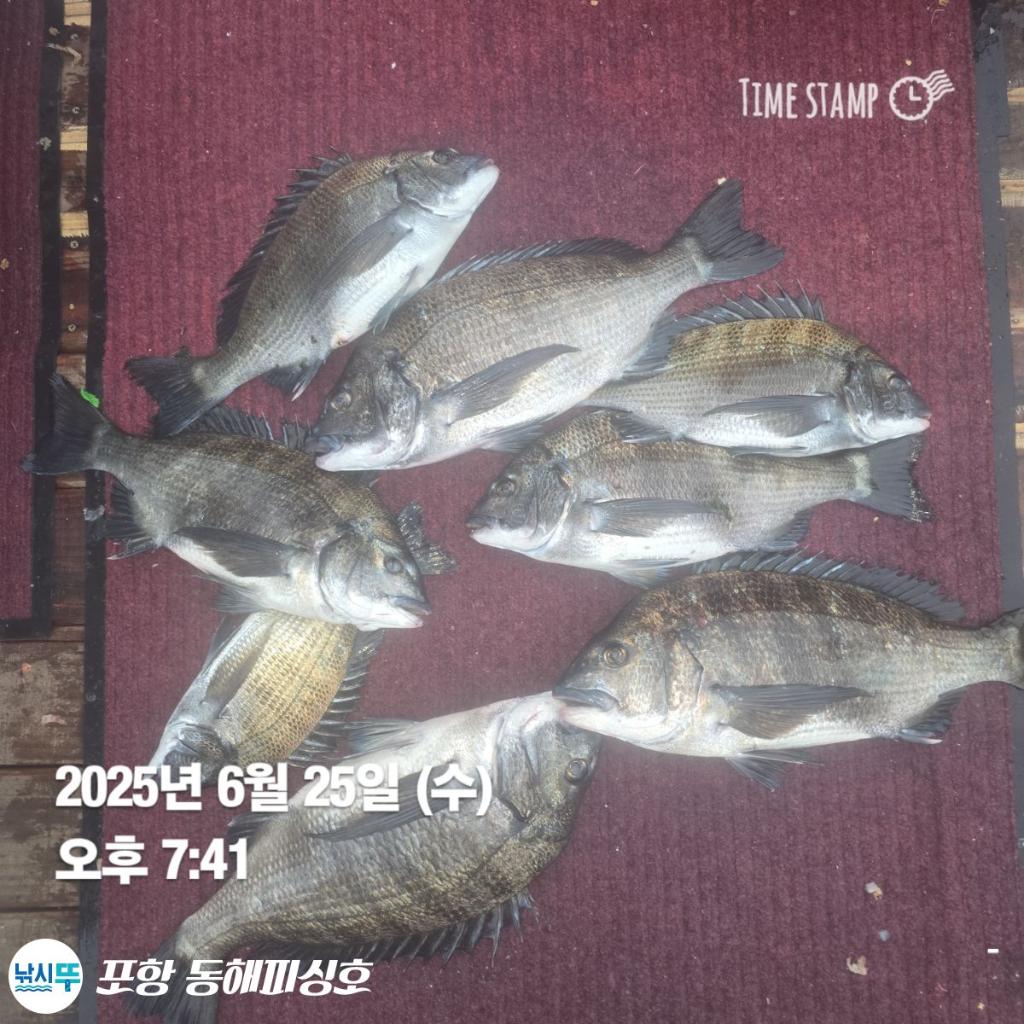 F2709371GS.jpg