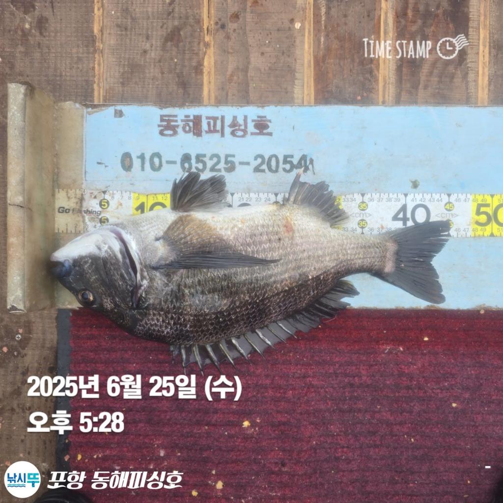 F2709372Z1.jpg