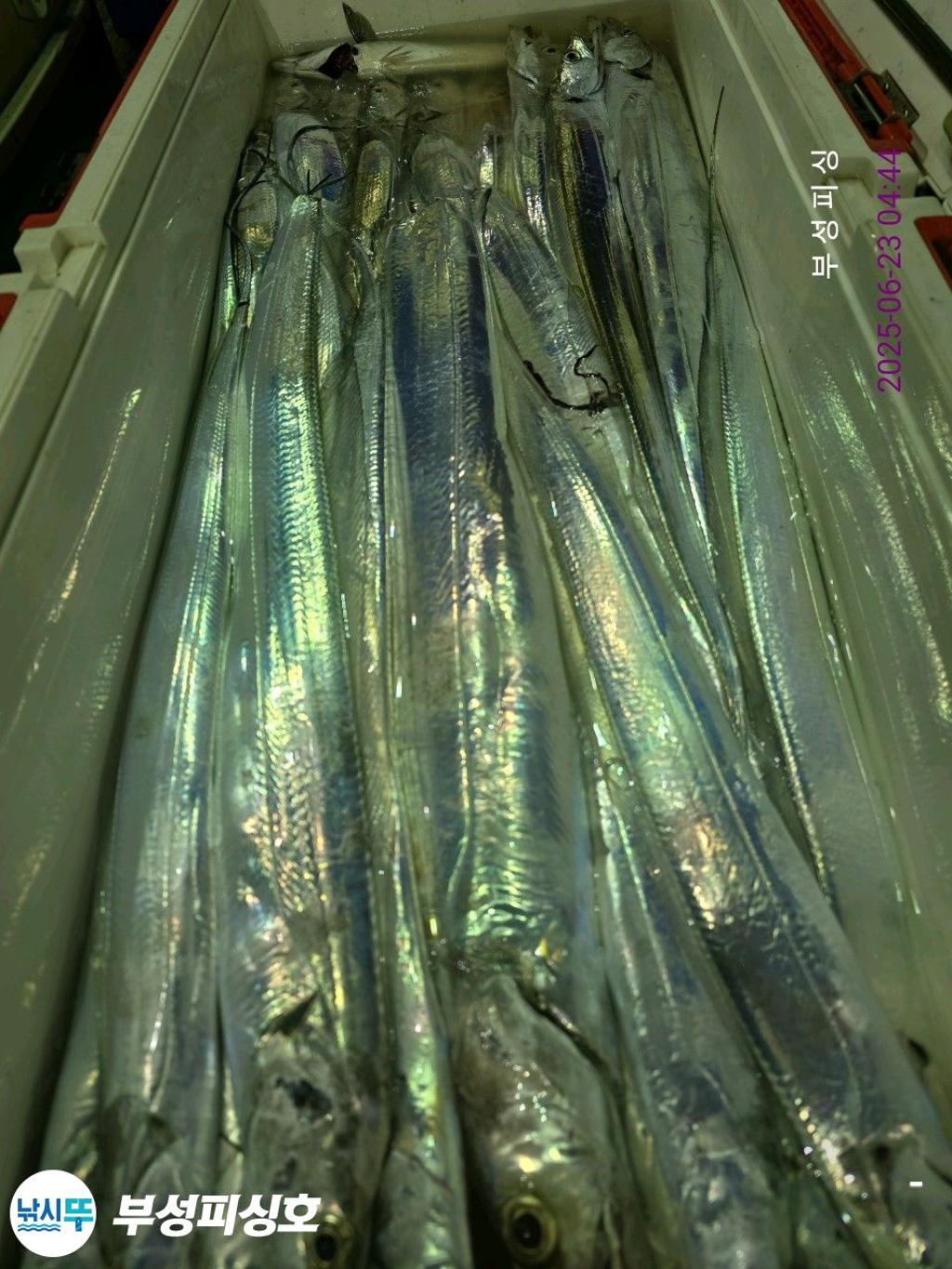 F2706236JJ.jpg