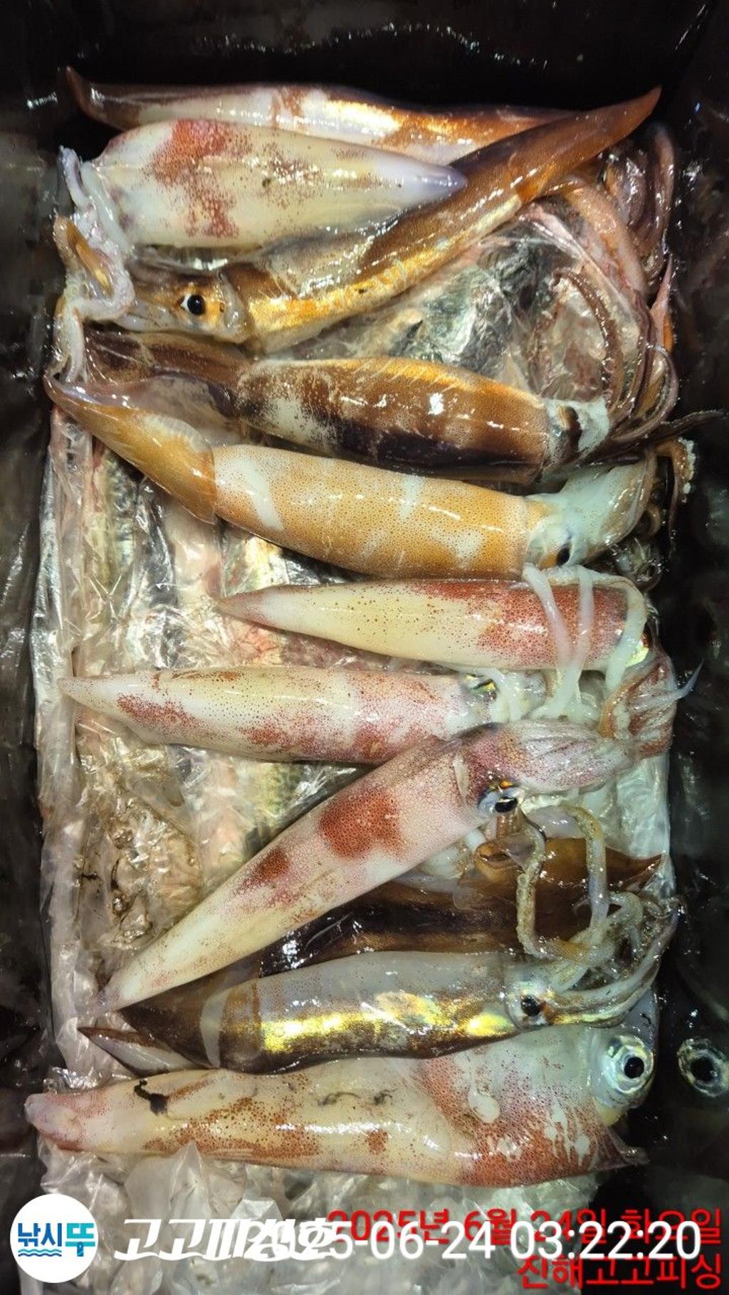 F27089228K.jpg
