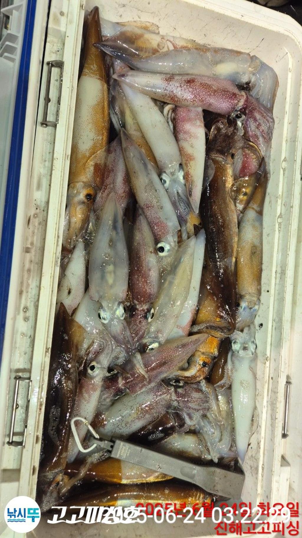 F270892465.jpg