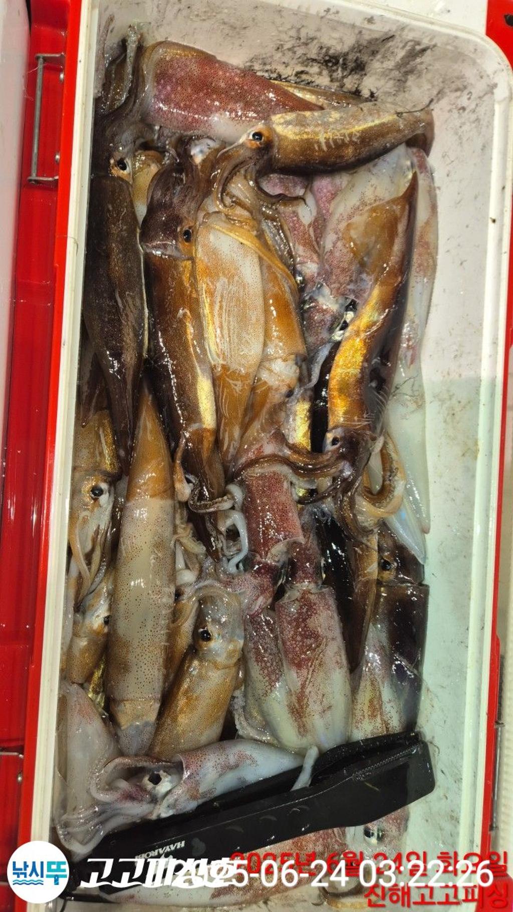 F2708927U6.jpg