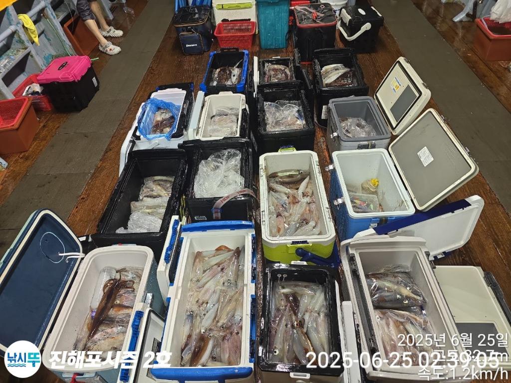 낚시뚜,오징어,한치,진해행암항,진해포시즌 2호,낚시뚜4