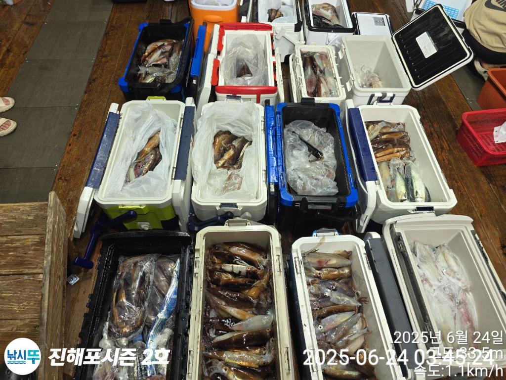 낚시뚜,오징어,한치,진해행암항,진해포시즌 2호,낚시뚜2