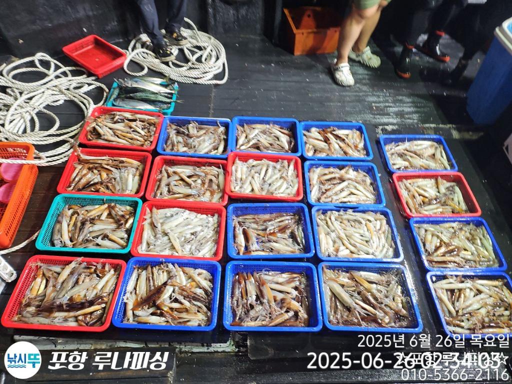 낚시뚜,화살촉오징어,구룡포항,포항 루나피싱,낚시뚜11