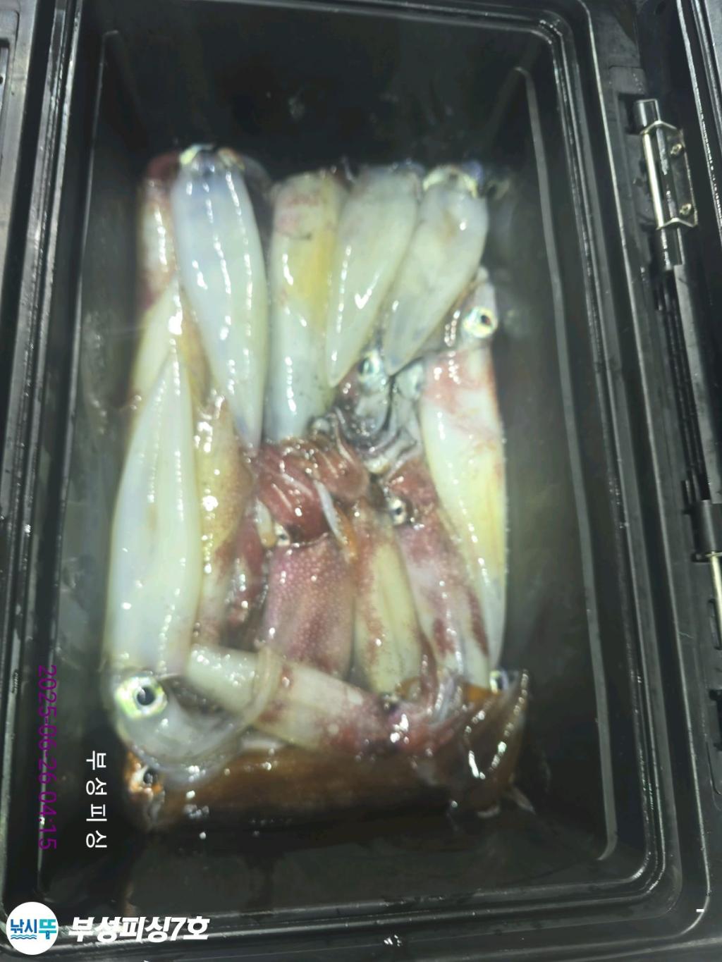 F2709450PE.jpg