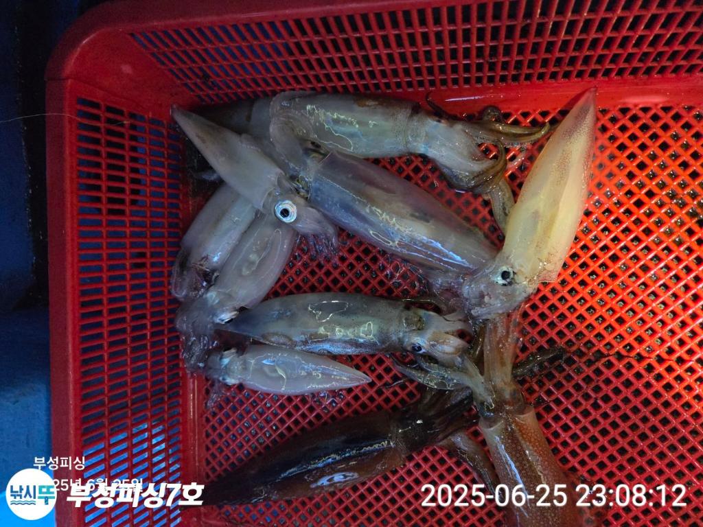 F27094615K.jpg