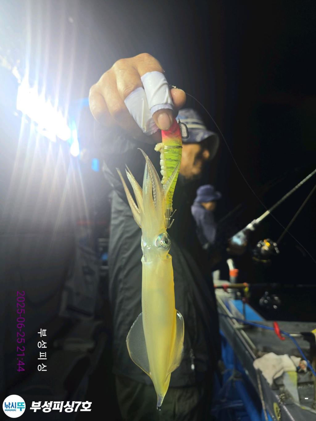 F2709475HU.jpg