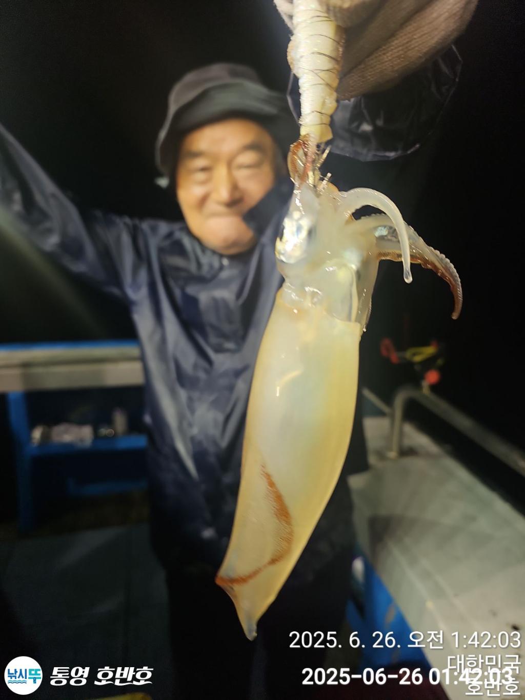 낚시뚜,갈치,한치,통영 신전항,통영호반호,낚시뚜9