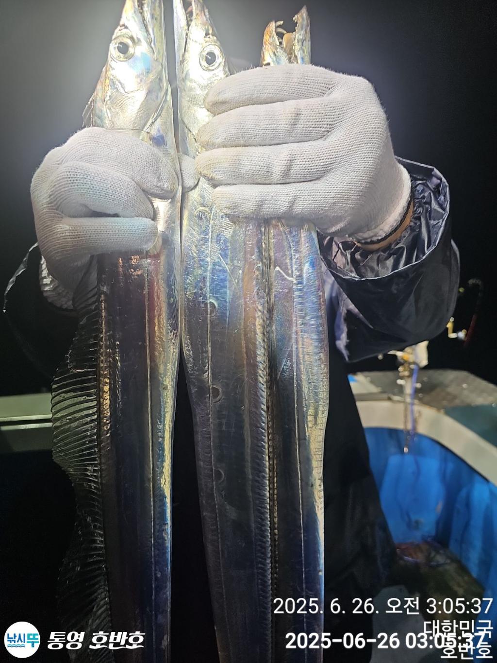 낚시뚜,갈치,한치,통영 신전항,통영호반호,낚시뚜3