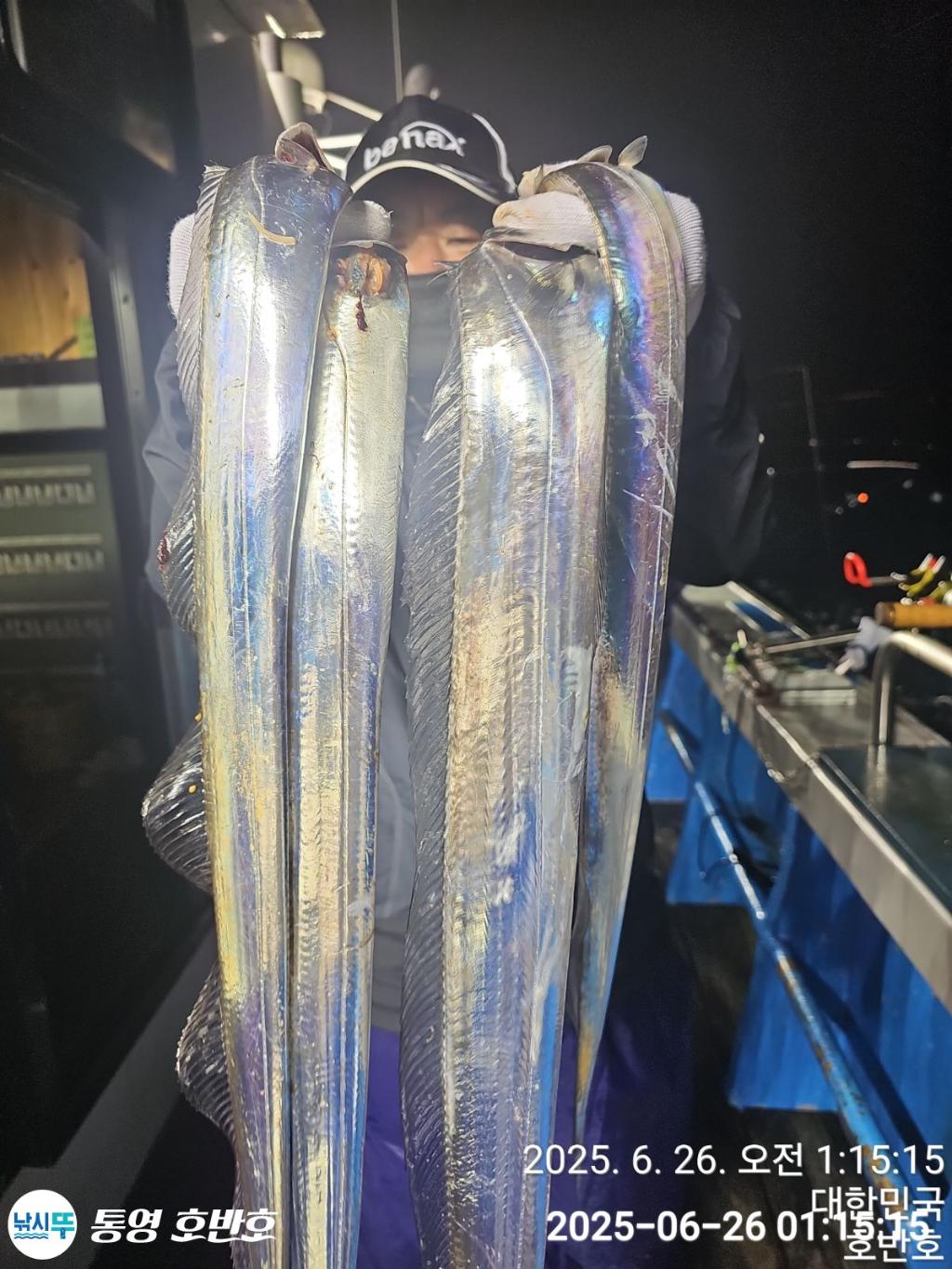 낚시뚜,갈치,한치,통영 신전항,통영호반호,낚시뚜0