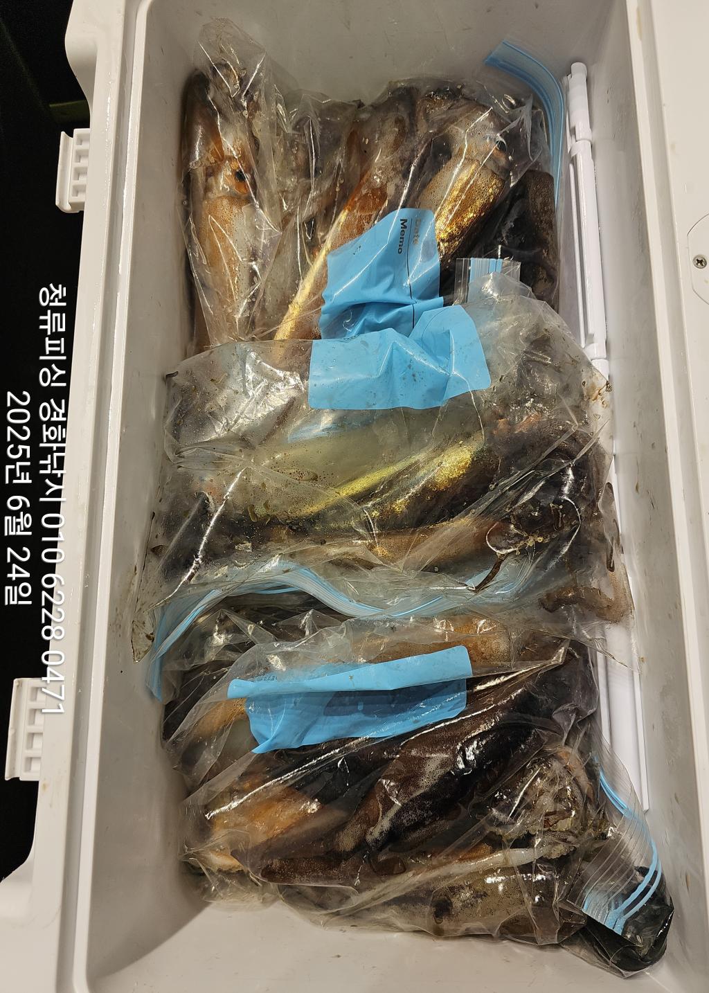 F27096095M.jpg