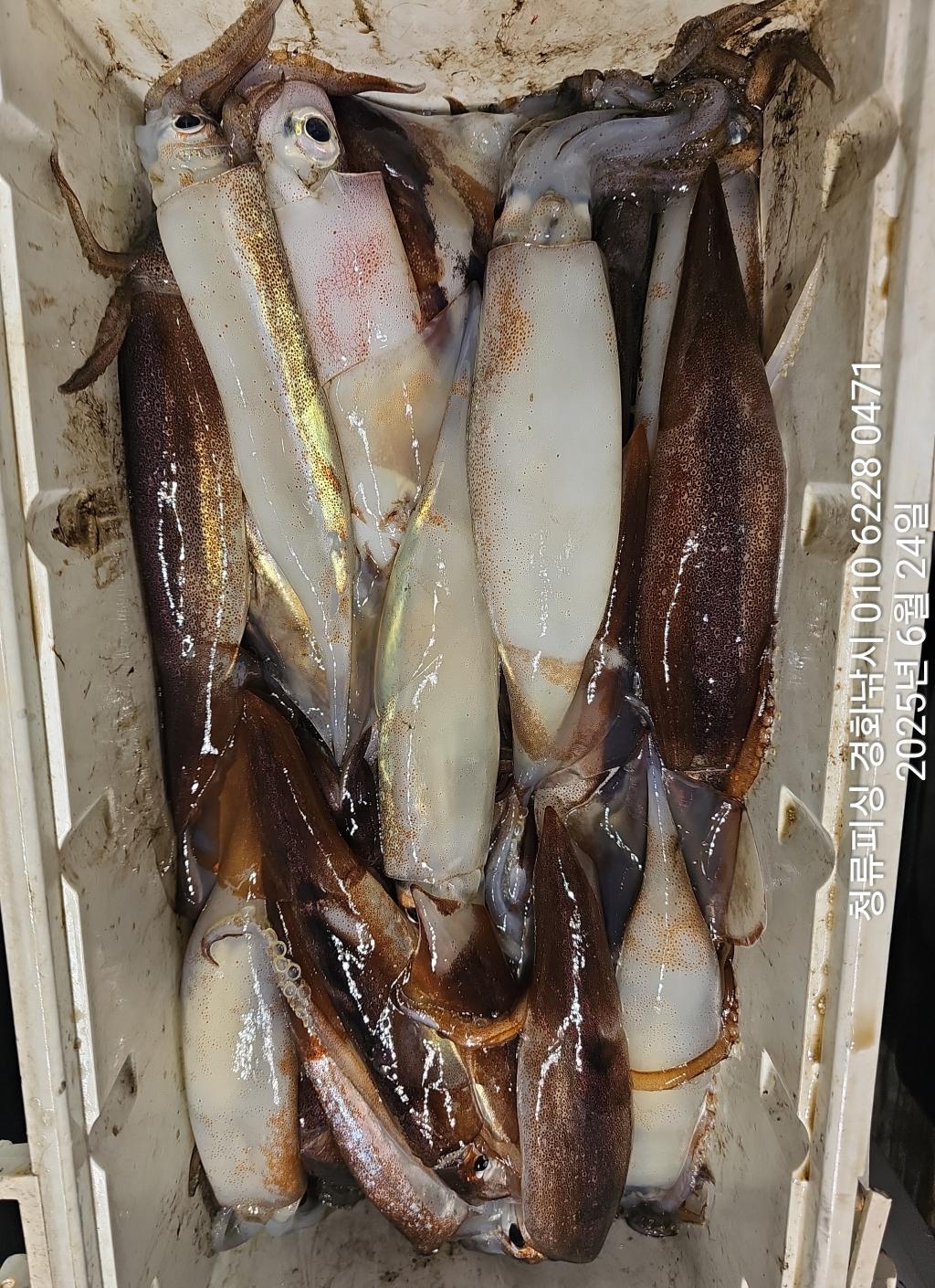 F2709611II.jpg