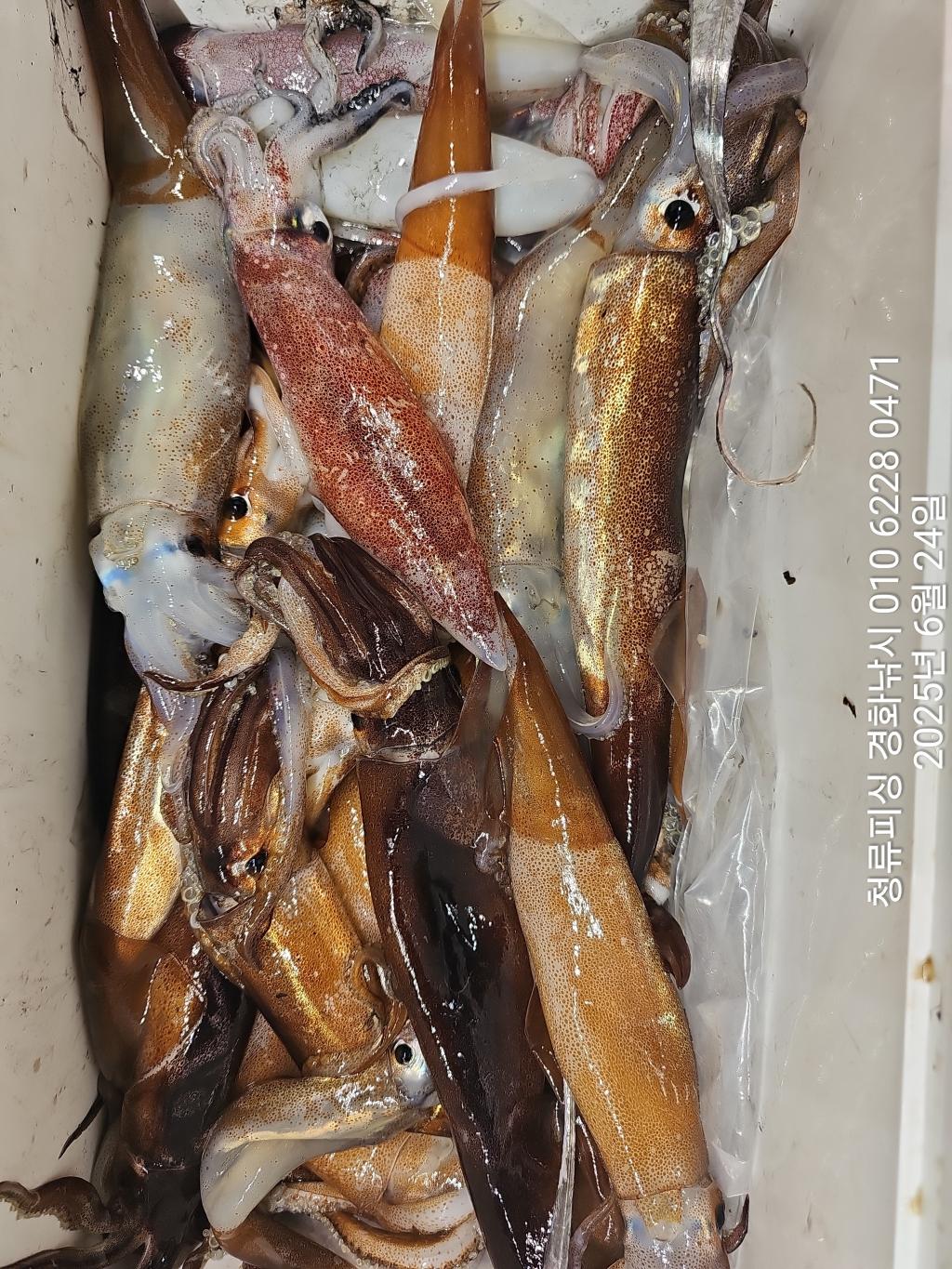 F2709623JN.jpg