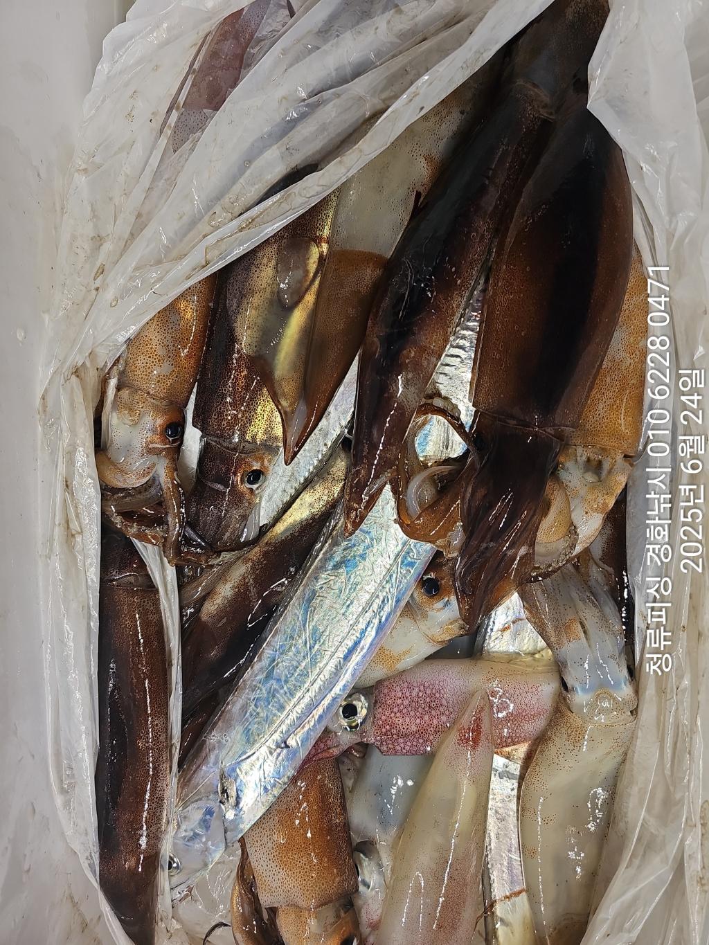 F2709630JP.jpg