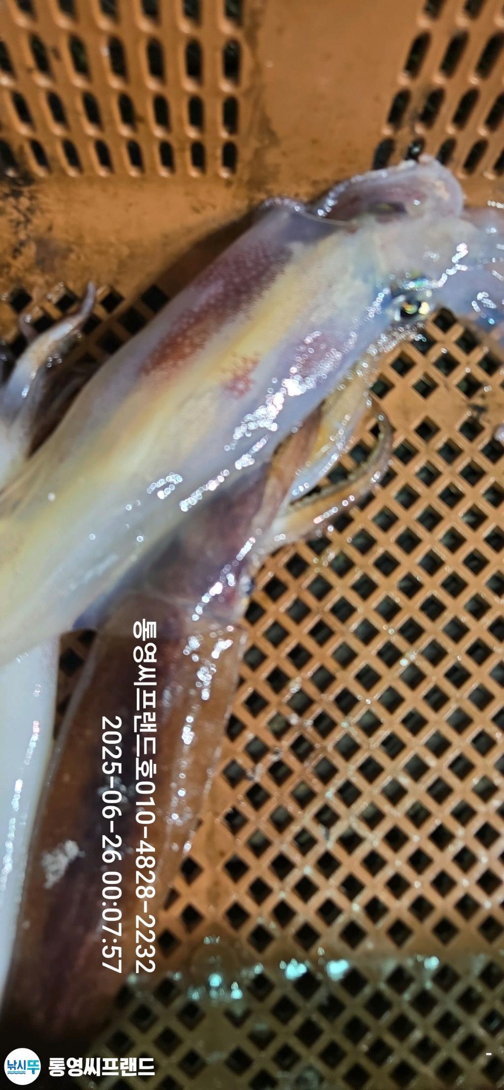 F2709654RJ.jpg