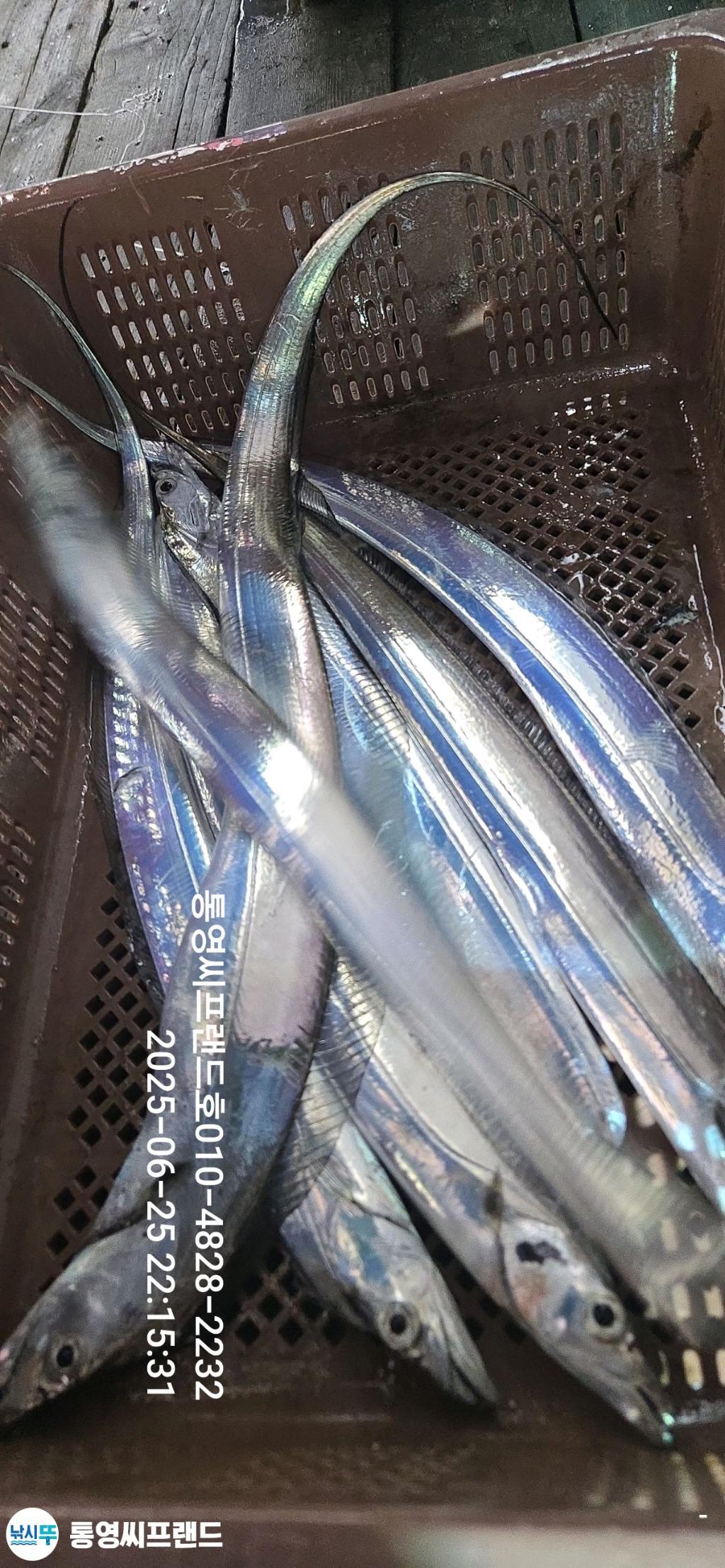 F2709656MC.jpg