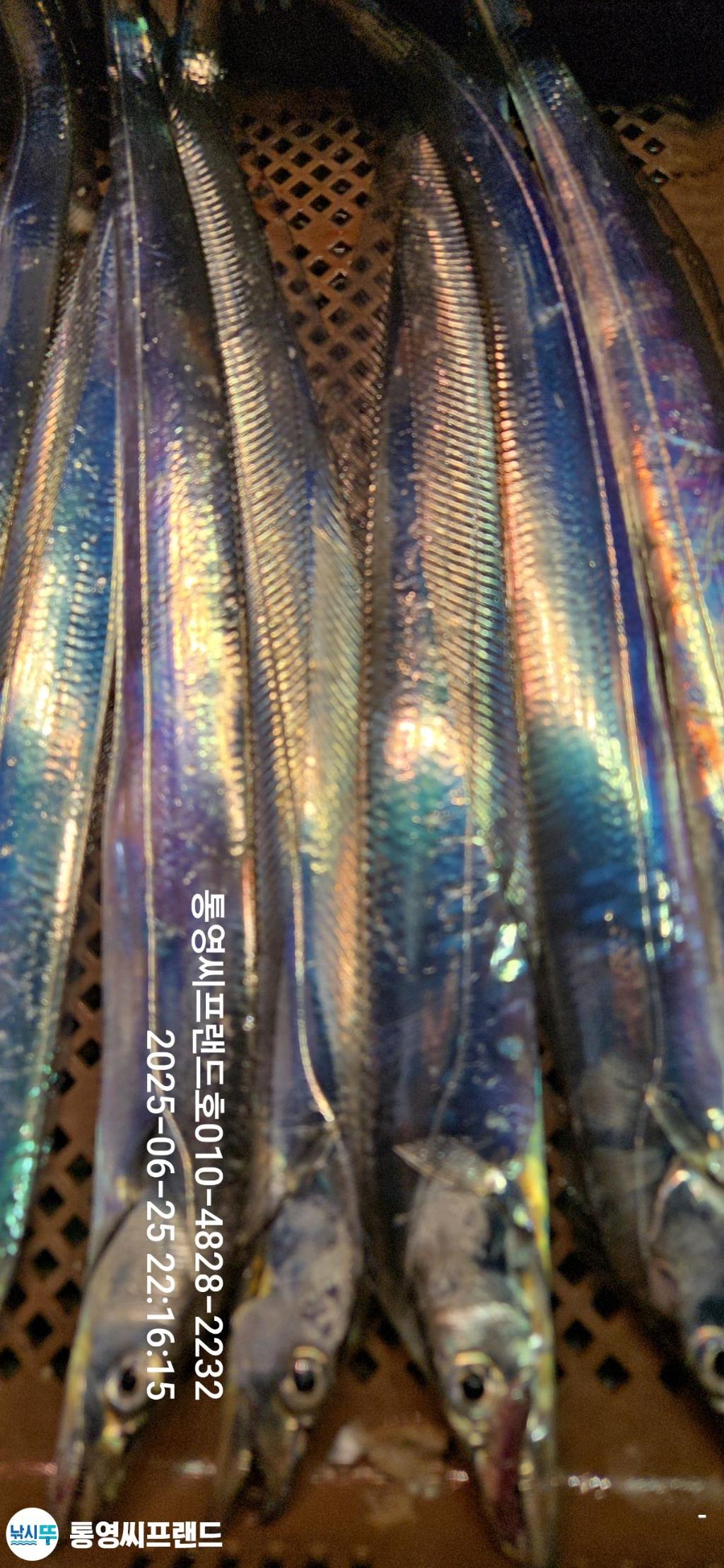 F2709658TA.jpg