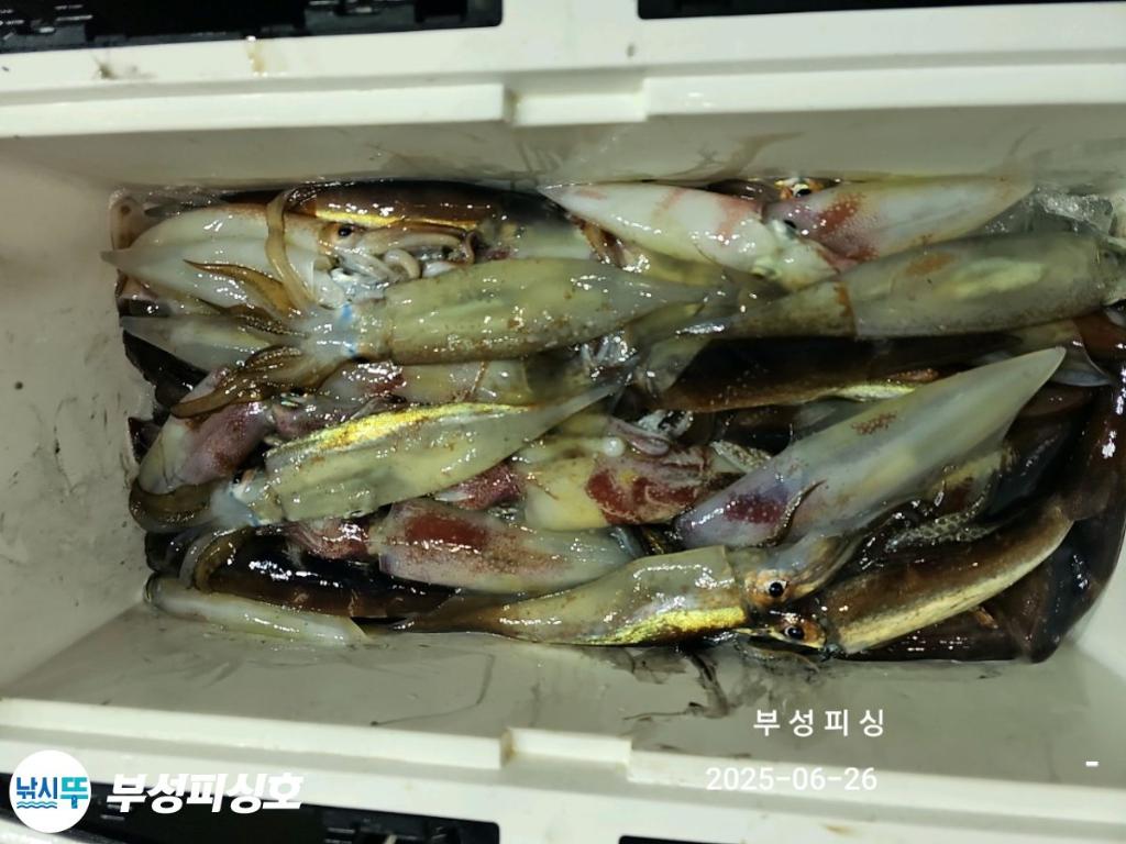 F2709665JI.jpg