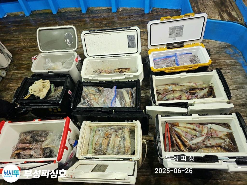 F2709669PK.jpg
