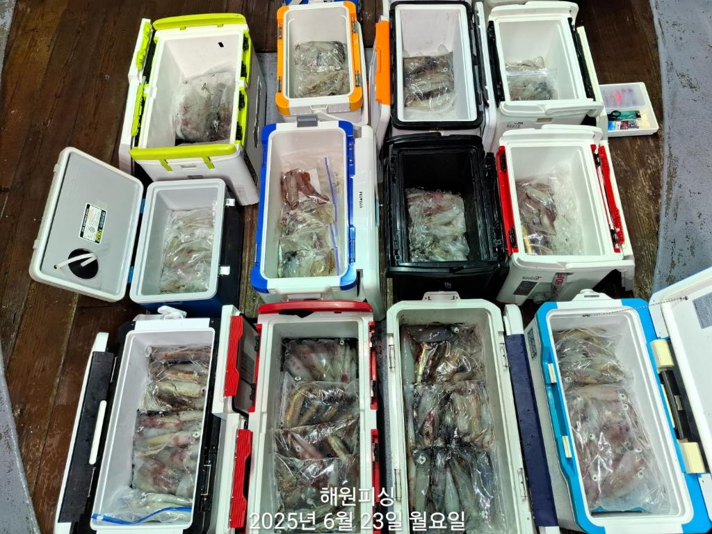 F2709689EJ.jpg