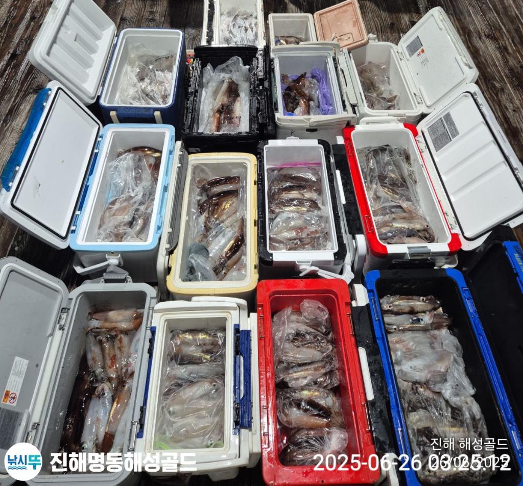 F2709753WF.jpg