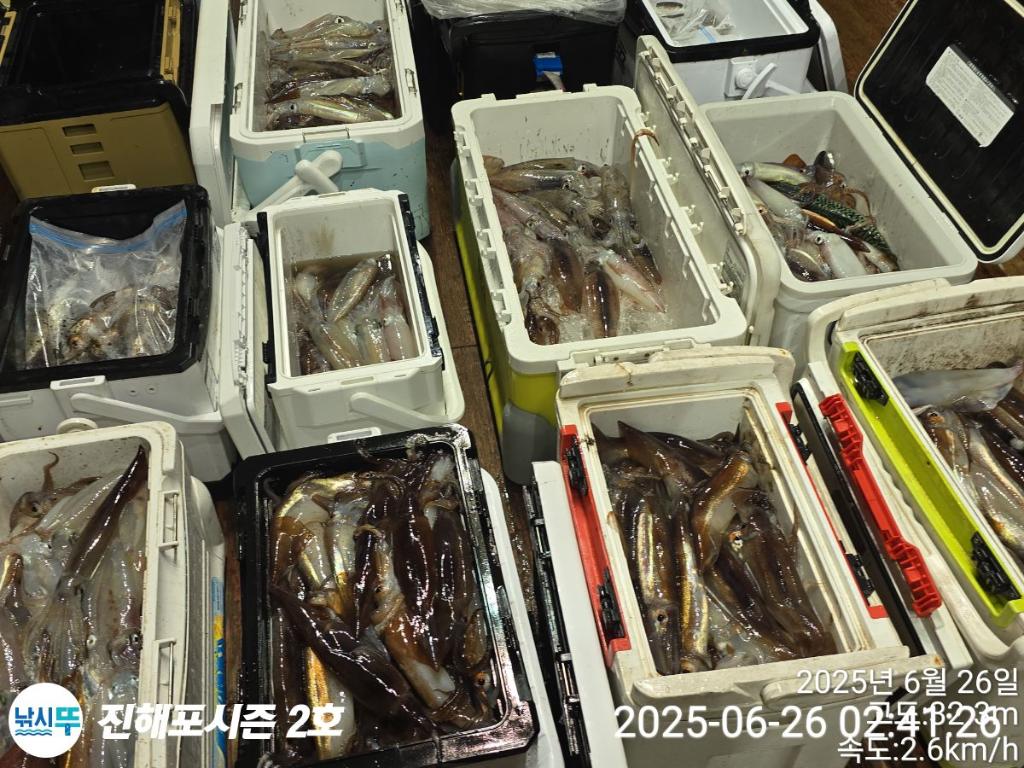 낚시뚜,오징어,한치,진해행암항,진해포시즌 2호,낚시뚜25