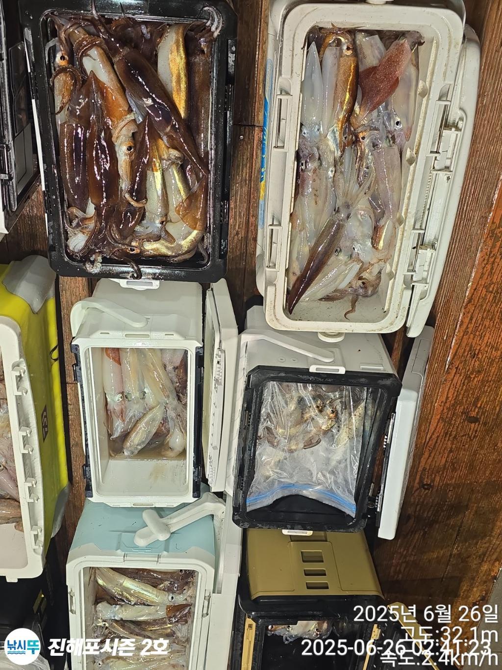 낚시뚜,오징어,한치,진해행암항,진해포시즌 2호,낚시뚜24