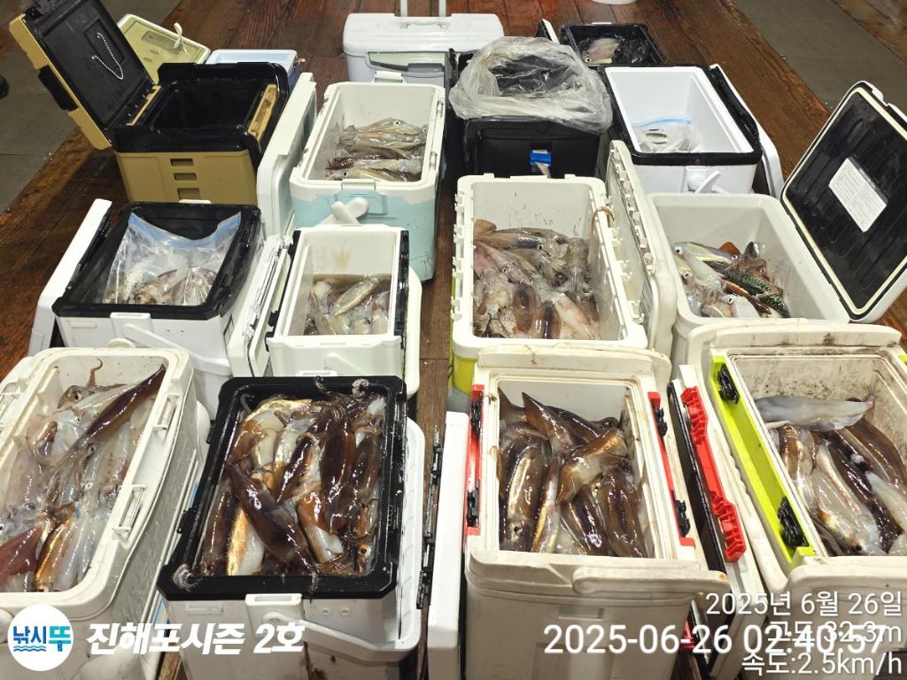 낚시뚜,오징어,한치,진해행암항,진해포시즌 2호,낚시뚜21